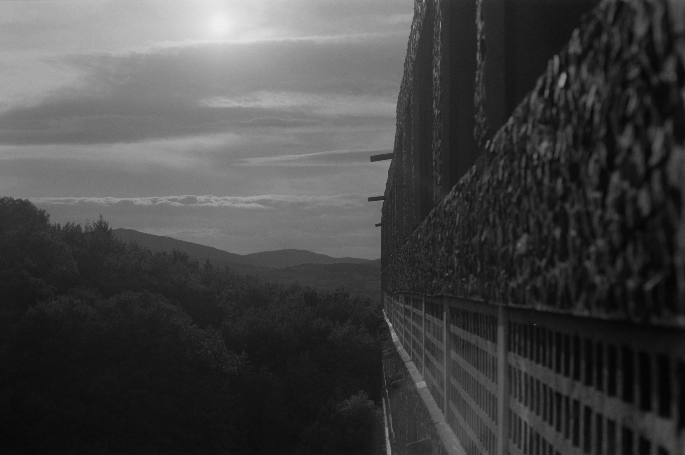 AHP F1993 08 001 sc240823 img25 NLP